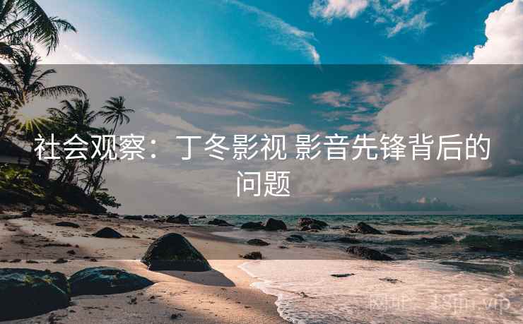 社会观察:丁冬影视 影音先锋背后的问题