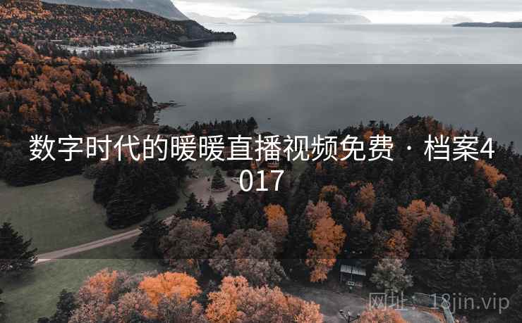 数字时代的暖暖直播视频免费 · 档案4017