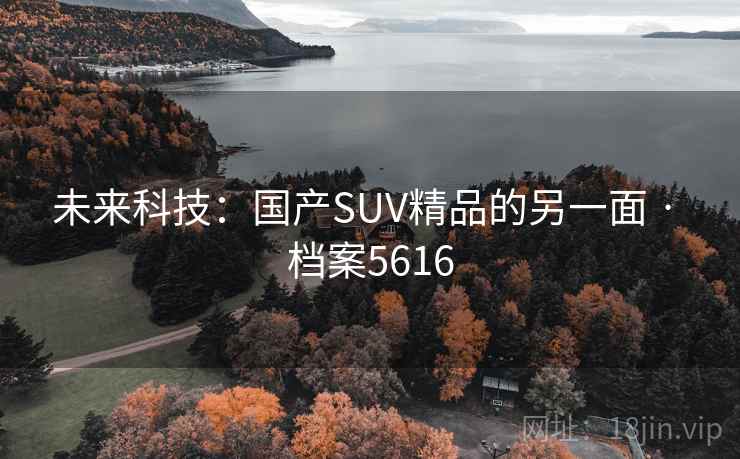 未来科技:国产SUV精品的另一面 · 档案5616