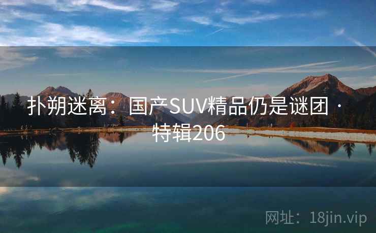 扑朔迷离：国产SUV精品仍是谜团 · 特辑206