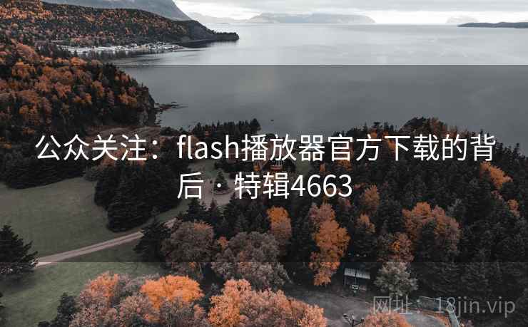 公众关注:flash播放器官方下载的背后 · 特辑4663